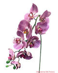 30" Real Touch Phalaenopsis Spray ( FSO173-PU/TT )