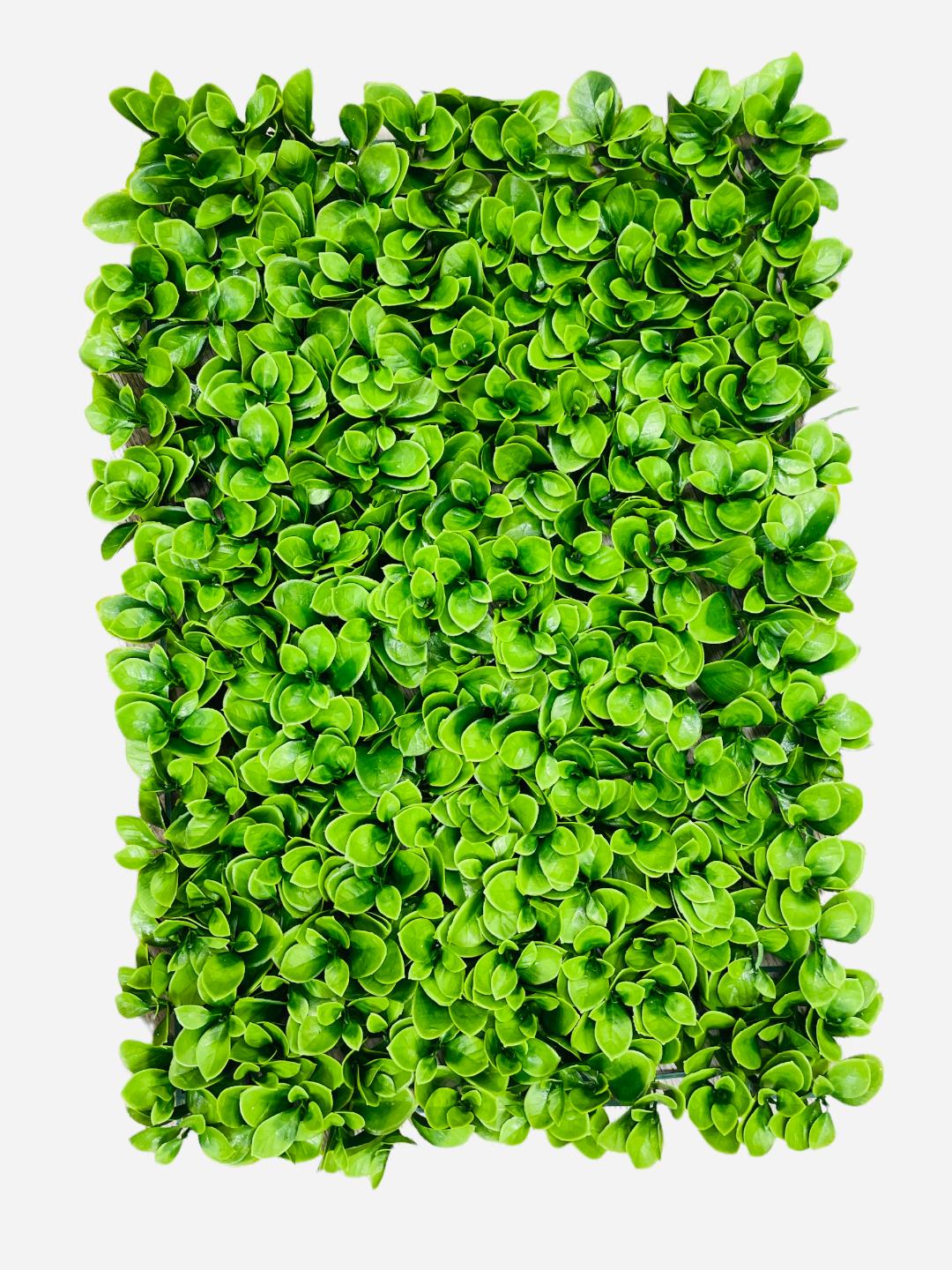 15X24 PLASTIC MATT ( BB001 )