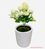 11'' Ranunculus Bud Bush ( B580-Cream )