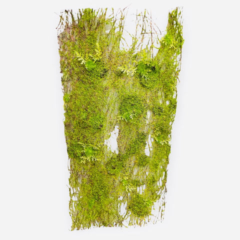 19" Moss Fern Sheet ( AA2001-GR )