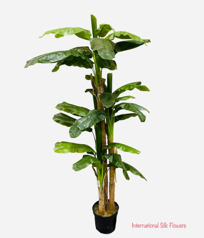 7.5' BANANA TREE ( INT8328-34-4TS )