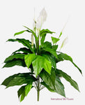 35'' Spathiphyllum Leaf Plant ( PPS526 )