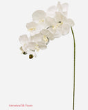 36" Silk Orchid Spray ( S1TJ16-White )