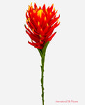 36'' Protea Spray ( HSP325-RE/OR )