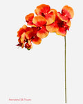 36" Silk Orchid Spray ( S1TJ16-Orange ) INT57A