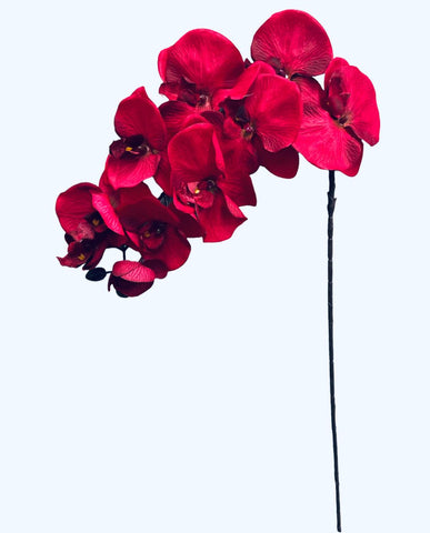 36" Silk Orchid Spray ( S1TJ16-Red )
