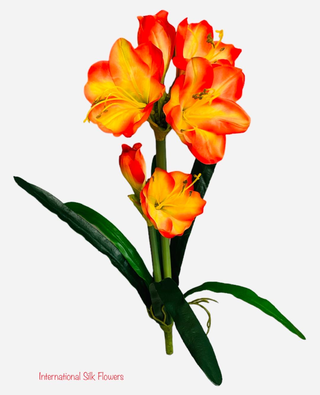 26'' AMARYLLIS ( FA4539-DOR )
