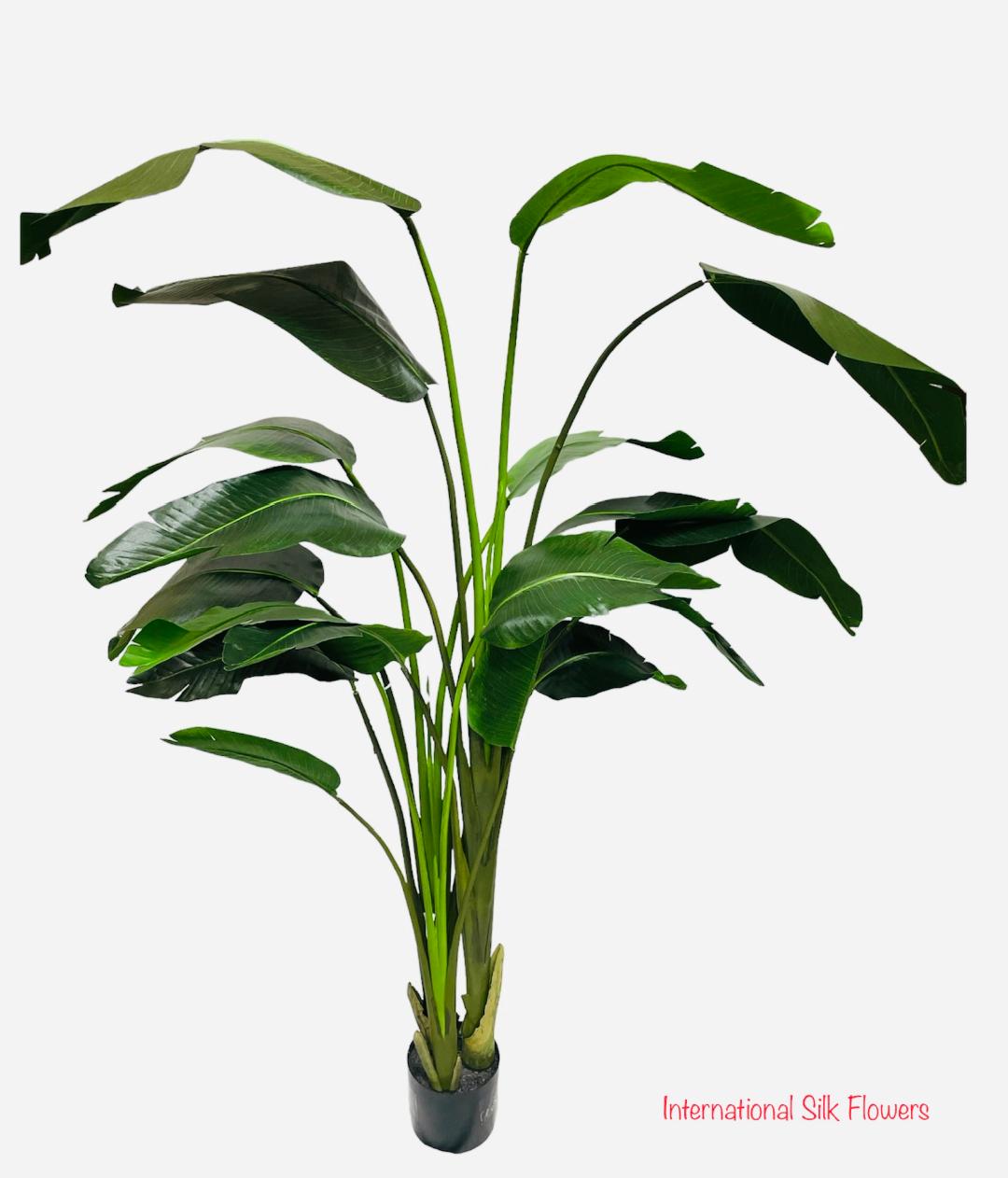 7.9' Bird Of Paradise Tree ( LTB608-GR )