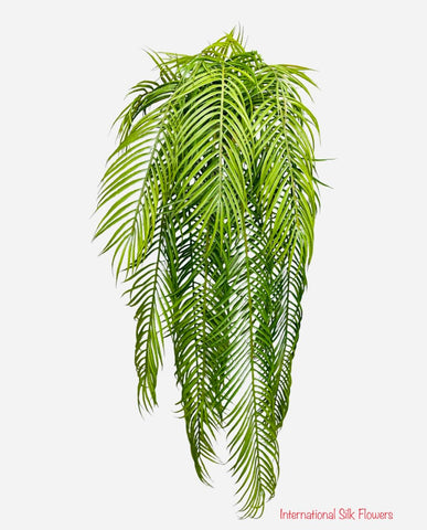 42'' Plastic Cycles Bush (  INT099 )