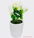 11'' Rose Bud Bush ( B580-White )