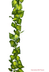 9' Coleus Leaf Chain Garland ( CG07 )