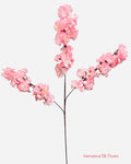 36'' Cherry Blossom ( SS120-Cream Pink ) ( INT120-Cream Pink )