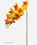 37'' Natural Touch Orchid ( INT053-Yellow )