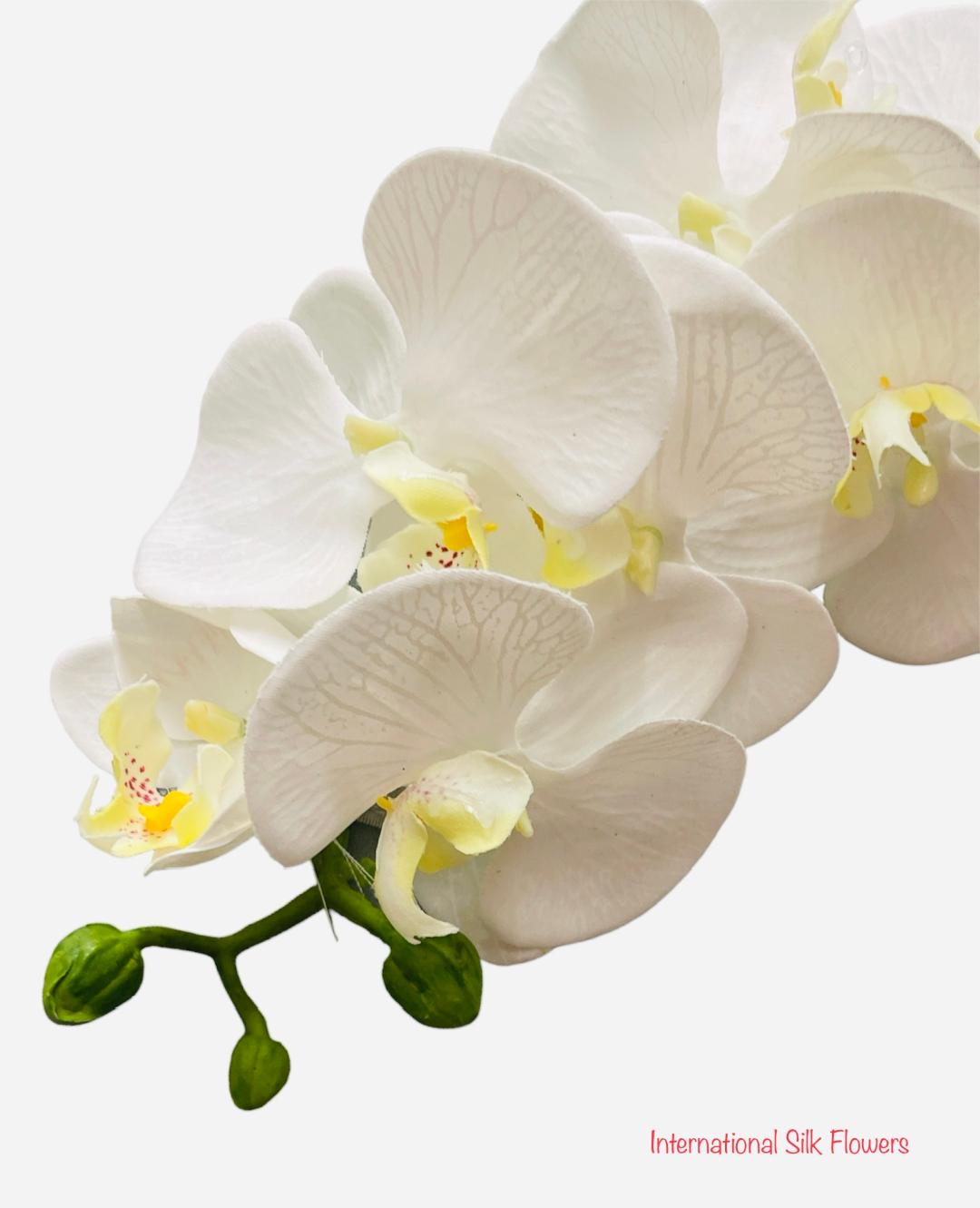 31” Real Touch Artificial Butterfly Orchid ( FO7193-Cream )