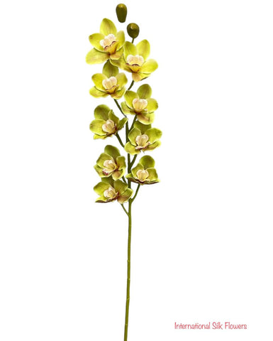 36'' Natural Touch Cymbidiu Orchid ( INT054-Green )