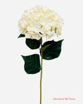 33" Silk Single Stem Hydrangea ( INT8003-Beige )