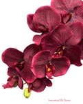 36" Silk Orchid Spray ( S1TJ16-Burgundy ) INT57A