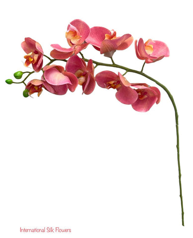 30" Real Touch Phalaenopsis Spray ( FSO173-LL )