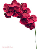37" Real Touch Phalaenopsis Spray ( FO7309-Red )