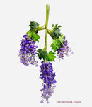 43'' Hanging Wisteria ( INT5701-Purple )