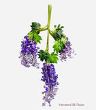 43'' Hanging Wisteria ( INT5701-Purple )