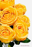 16” Faux Cabbage Rose Bush ( INT0005-Yellow )