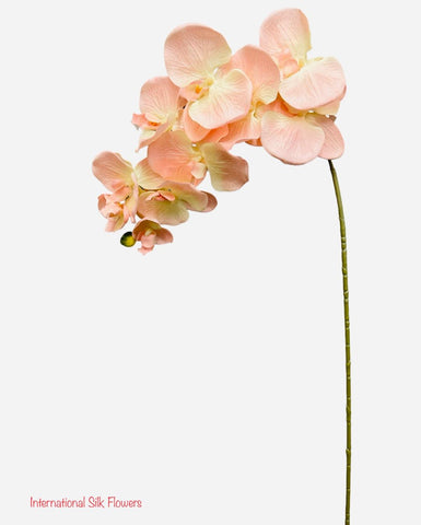 36" Silk Orchid Spray ( S1TJ16-Cream/Pink  )