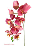 30" Real Touch Phalaenopsis Spray ( FSO173-LL )