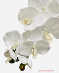 36" Silk Orchid Spray ( S1TJ16-White ) INT57A