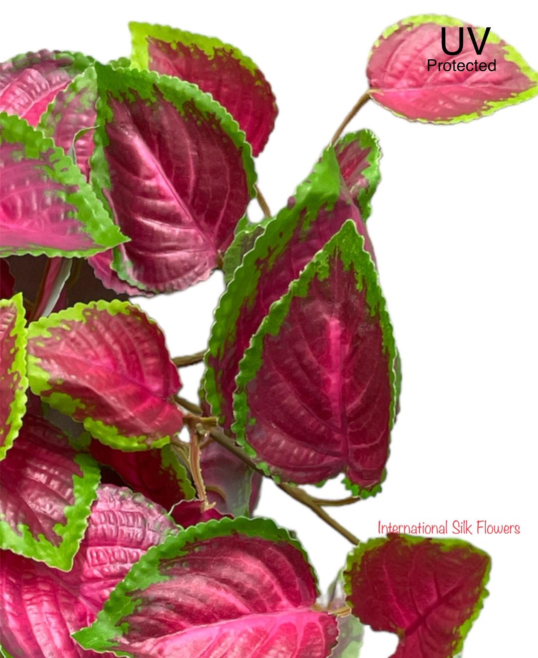 20" UV Protected Real Touch Coleus Bush ( PBC023-BT/GR )