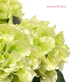 18" Silk Pongee Hydrangea Bush ( INT001-Light Green )