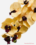 36" Silk Orchid Spray ( S1TJ16-Beige )