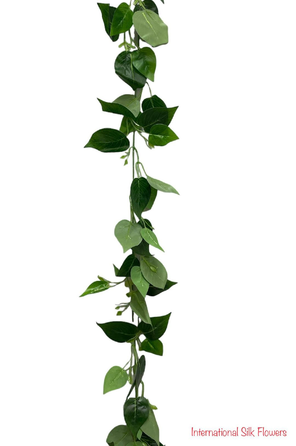 6' Philo Garland ( INT103 )