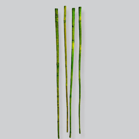 BAMBOO BASIL 4PC STICK  # 12420