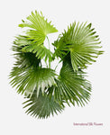 18'' Fan Palm Bush ( PBP922 )