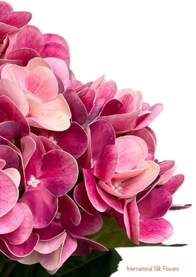 20'' Real Touch Hydrangea Bush ( INT002-#78 FUSHIA )( J05013 )