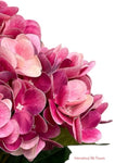 20'' Real Touch Hydrangea Bush ( INT002-#9Beauty )( J05013 )