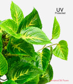 20" UV Protected Real Touch Coleus Bush ( PBC023-GR/CR )