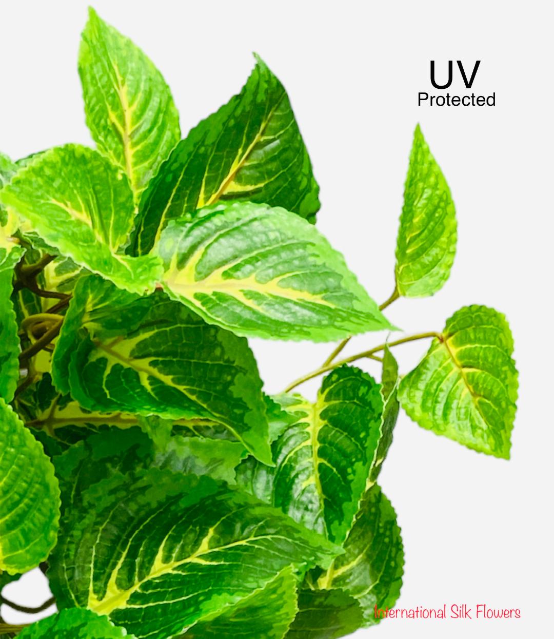 20" UV Protected Real Touch Coleus Bush ( PBC023-GR/CR )