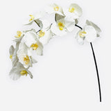 44.5” Real Touch Phalaenopsis Spray ( FS0725 )