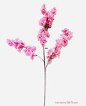 36'' Cherry Blossom ( SS120- Hot Pink ) (AV03001-Hot Pink )