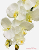 36" Silk Orchid Spray ( S1TJ16-Cream )