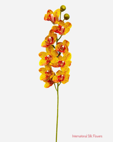 36'' Natural Touch Cymbidiu Orchid ( INT054-Yellow/ Red Spot )