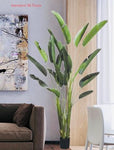 7.10’ Faux Bird Of Paradise Plant ( LZB608 )