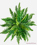 28'' Large Boston Fern  ( PBF656 )