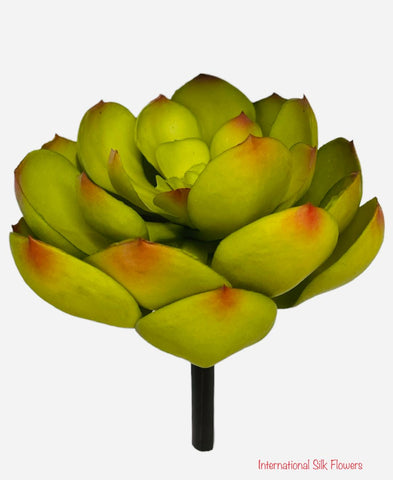 6'' Succulent Pick ( SQ0105-LG )