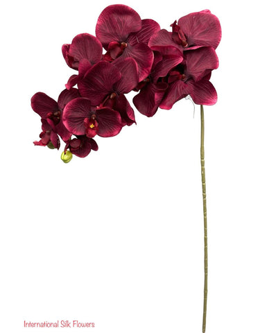 36" Silk Orchid Spray ( S1TJ16-Burgundy ) INT57A