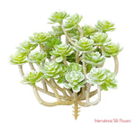 6.3'' Soft Sedum Pick ( CS3010-GR/GY )