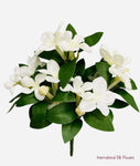10'' Stephanotis Bush ( FBS522-White )