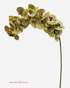 42” Real Touch Phalaenopsis Spray ( FO7199-GR )